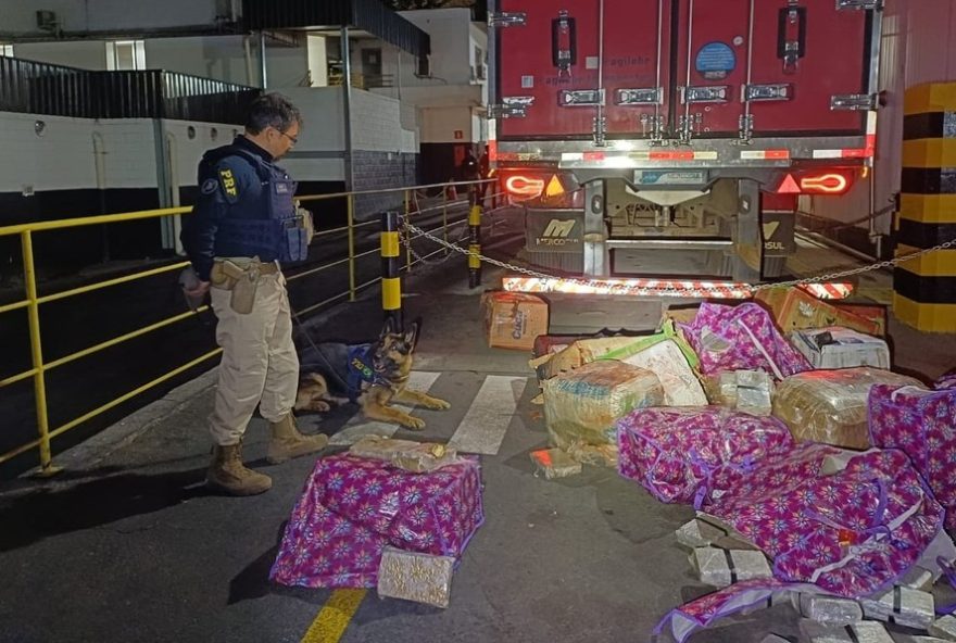 policia-rodoviaria-federal-realiza-apreensao-de-400-kg-de-maconha-na-br-2622C-em-juatuba
