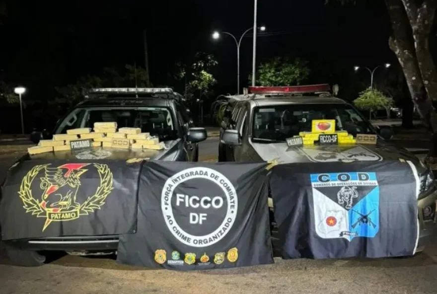 Agentes encontraram a cocaína dividida em pasta base e cloridrato, com um valor de mercado estimado em mais de R$ 1 milhão (Foto: PMGO)