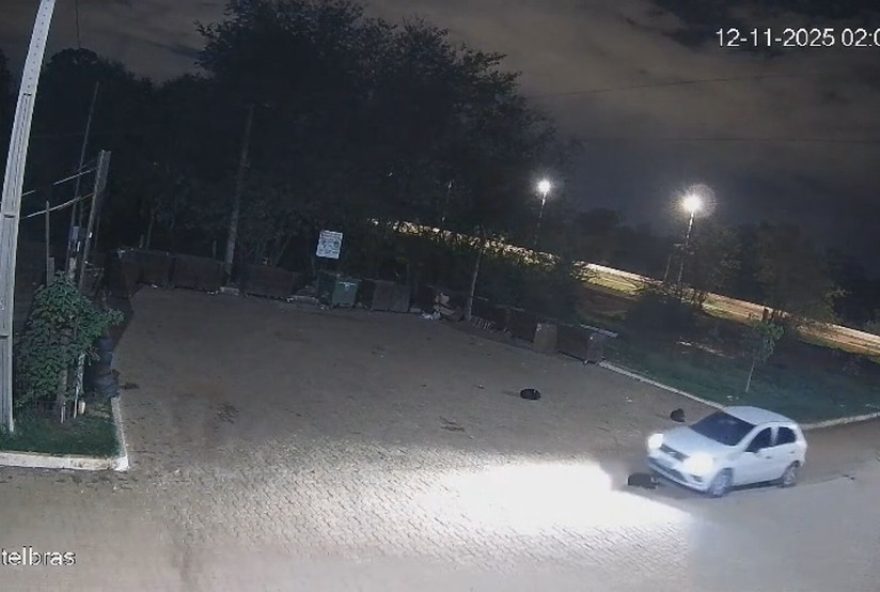 policial-militar-preso-por-atropelar-e-matar-cachorro-em-vicente-pires2C-df