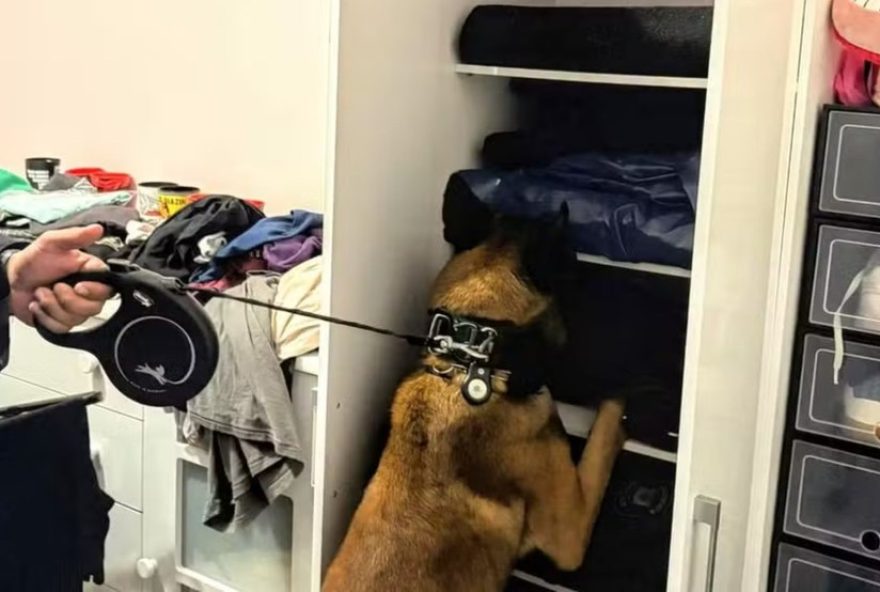 policial-penal-e-psicologa-suspeitas-de-trafico-de-drogas-em-prisao-em-guaiba3A-esquema-movimentou-r241-milhao