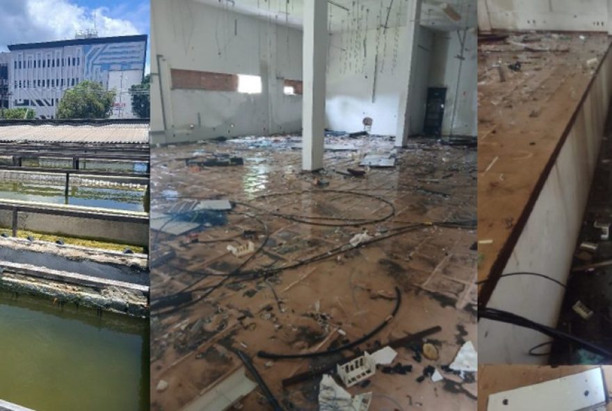 predio-ao-lado-de-escola-em-belem-tem-focos-de-mosquito-da-dengue