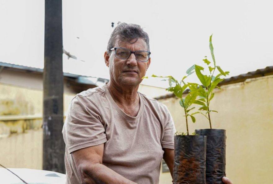 prefeitura-de-anapolis-oferece-mudas-gratuitas-para-populacao-em-acao-ambiental prefeitura-de-anapolis-oferece-mudas-gratuitas-para-populacao-em-acao-ambiental