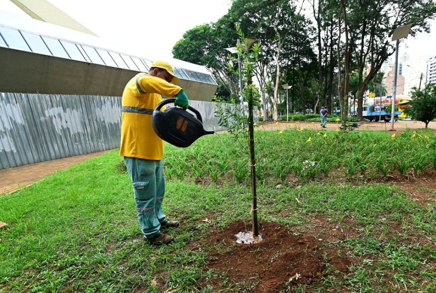 prefeitura-de-campinas-realiza-replantio-de-arvores-no-centro-de-convivencia3A-saiba-mais