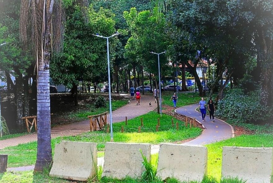 prefeitura-de-goiania-debate-abertura-de-rua-no-parque-flamboyant prefeitura-de-goiania-debate-abertura-de-rua-no-parque-flamboyant