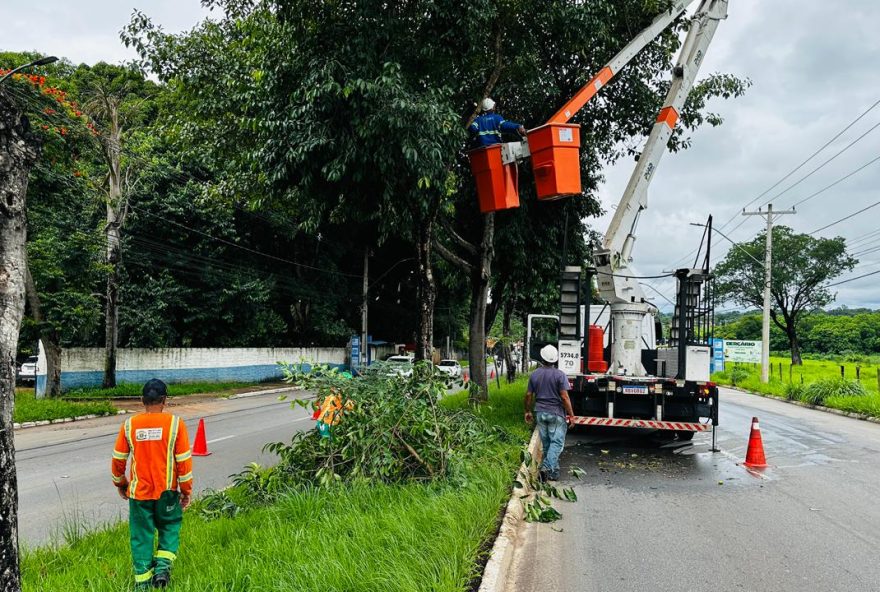 prefeitura-de-goiania-realiza-poda-de-cerca-de-400-jameloes-em-bairros-da-regiao-leste prefeitura-de-goiania-realiza-poda-de-cerca-de-400-jameloes-em-bairros-da-regiao-leste