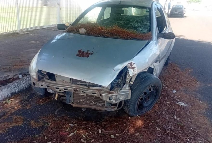 prefeitura-de-nova-odessa-remove-veiculos-abandonados-para-combater-a-dengue prefeitura-de-nova-odessa-remove-veiculos-abandonados-para-combater-a-dengue