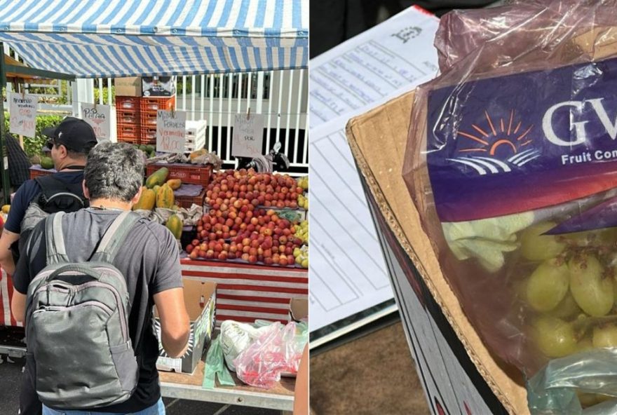 prefeitura-de-santos-cassa-pontos-de-feirantes-em-acao-contra-irregularidades prefeitura-de-santos-cassa-pontos-de-feirantes-em-acao-contra-irregularidades