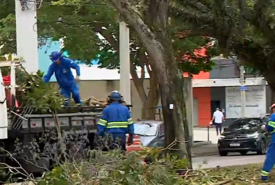 prefeitura-de-sao-jose-dos-campos-remove-arvores-apos-tempestade