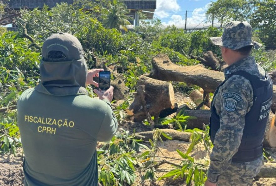prefeitura-do-recife-e-alvo-de-nova-denuncia-de-desmatamento-em-area-embargada