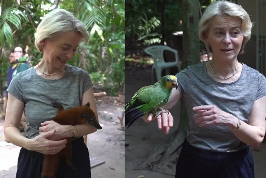 presidente-da-comissao-europeia-interage-com-fauna-amazonica-durante-a-cop-30-em-belem