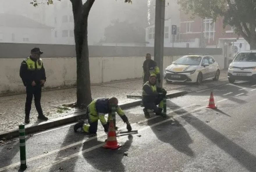 presidente-de-gaia-justifica-desmantelamento-de-ciclovia-na-avenida-da-republica