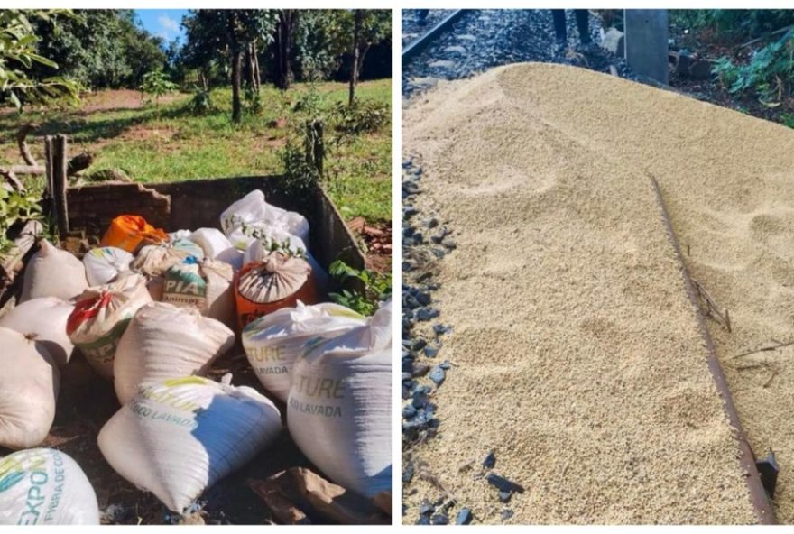 presos-por-furto-de-soja-de-trem3A-acao-policial-em-casa-branca-sp