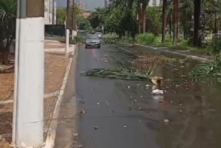 previsao-de-chuvas-e-granizo-em-de-no-1o-fim-de-semana-do-ano3A-alerta-da-defesa-civil