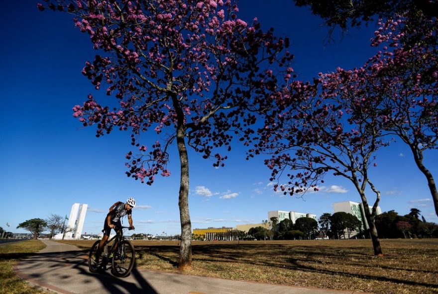 previsao-do-tempo-para-o-dia-de-corpus-christi-no-df3A-frio-e-seca3B-veja-detalhes