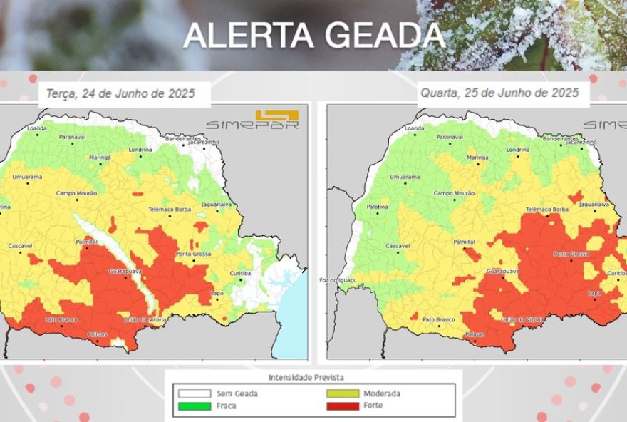 previsao-do-tempo3A-chegada-de-22geada-negra22-no-parana-preocupa-agricultores