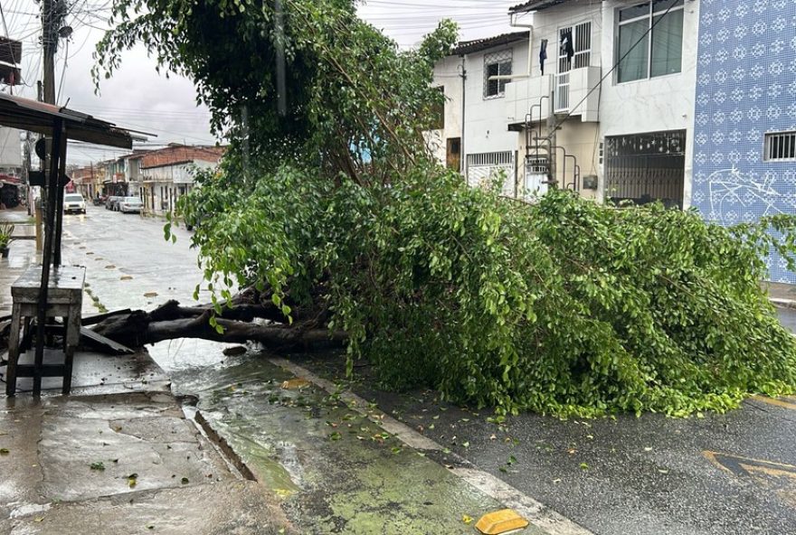 previsao-do-tempo3A-chuva-no-ceara-diminui2C-mas-segue-em-todo-estado previsao-do-tempo3A-chuva-no-ceara-diminui2C-mas-segue-em-todo-estado