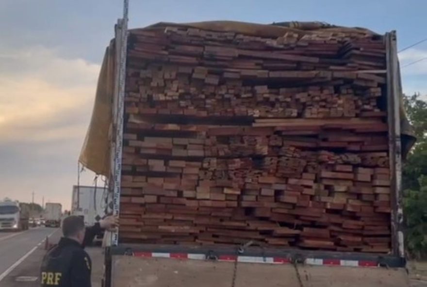 prf-apreende-carga-de-madeira-ilegal-no-maranhao3A-falta-de-documentacao-contribui-para-devastacao-ambiental