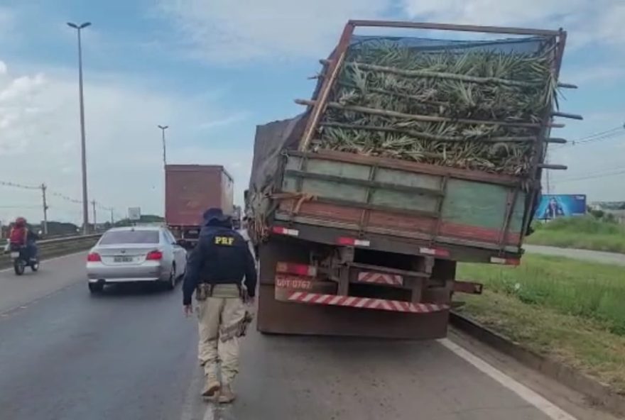 Flagrante ocorreu no final da manhã desta quinta-feira, 9, quando uma equipe da polícia que estava em  patrulhamento| Foto: Divulgação