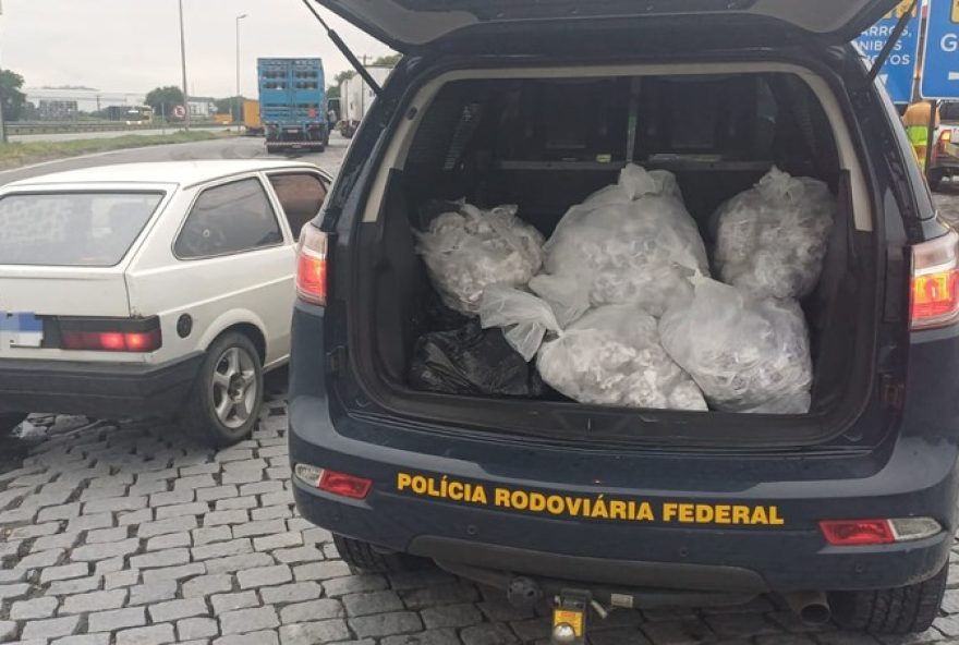 prf-realiza-grande-apreensao-de-drogas-na-via-dutra-em-resende-r24272-mil-em-entorpecentes-encontrados-no-veiculo-no-km-305