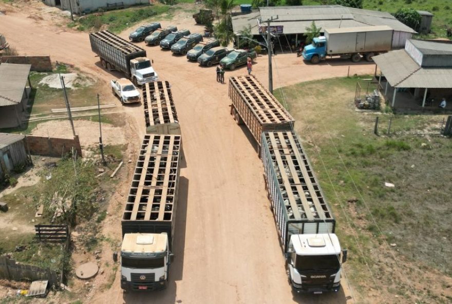 prisao-de-suspeito-na-terra-indigena-apyterewa3A-pf-investiga-envolvimento-em-morte-de-servidor-do-ibama prisao-de-suspeito-na-terra-indigena-apyterewa3A-pf-investiga-envolvimento-em-morte-de-servidor-do-ibama