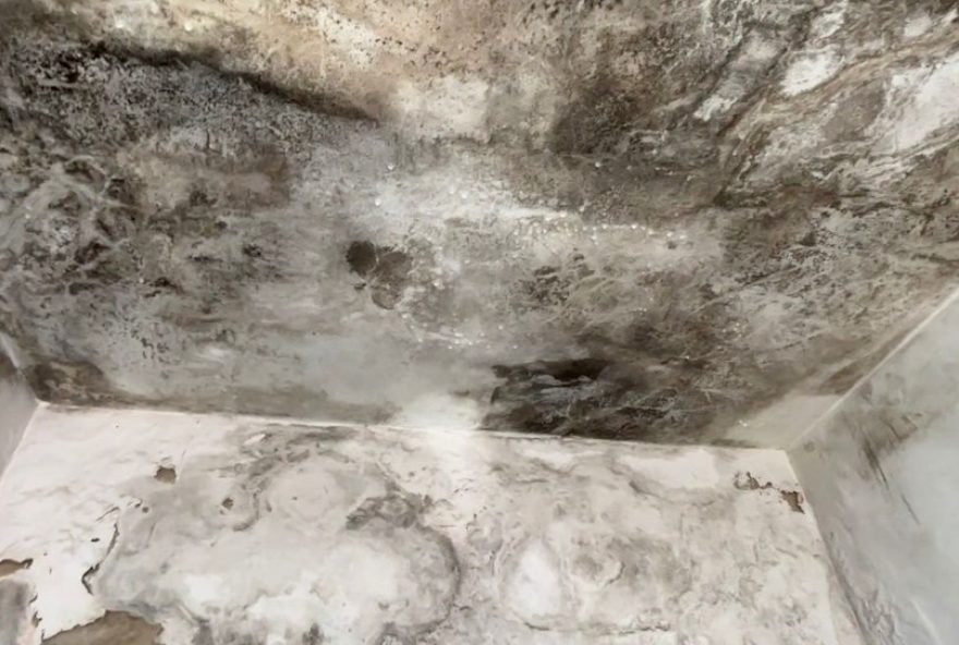 problemas-de-infiltracao-e-mofo-na-ubs-da-vila-cristina-em-piracicaba3A-atendimento-odontologico-transferido problemas-de-infiltracao-e-mofo-na-ubs-da-vila-cristina-em-piracicaba3A-atendimento-odontologico-transferido