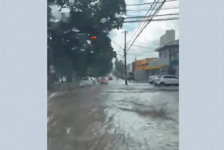 problemas-persistem-apos-obra-milionaria3A-paralelepipedos-soltos-na-nove-de-julho2C-em-ribeirao-preto2C-sp problemas-persistem-apos-obra-milionaria3A-paralelepipedos-soltos-na-nove-de-julho2C-em-ribeirao-preto2C-sp