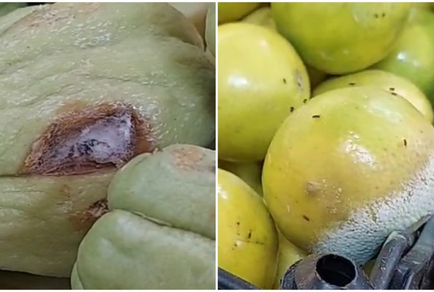 procon-fortaleza-identifica-venda-de-alimentos-deteriorados-em-supermercado3A-medidas-urgentes-tomadas procon-fortaleza-identifica-venda-de-alimentos-deteriorados-em-supermercado3A-medidas-urgentes-tomadas