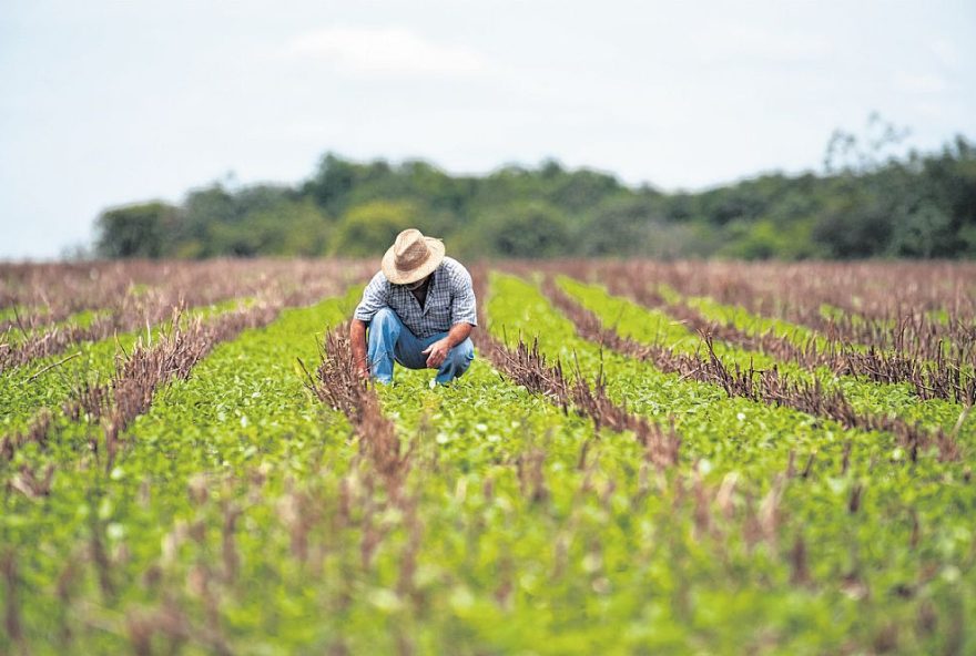 produtor rural