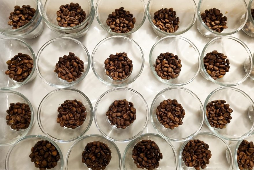 produtores-de-piumhi-se-destacam-no-concurso-de-qualidade-do-cafe-de-minas-gerais-20243A-veja-a-lista-dos-vencedores