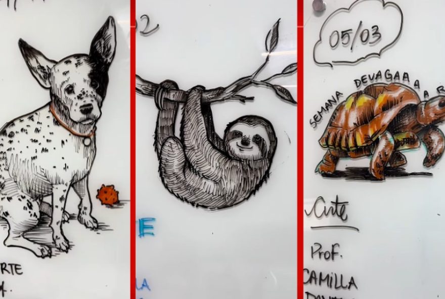 professora-do-df-viraliza-nas-redes-com-desenhos-em-sala-de-aula professora-do-df-viraliza-nas-redes-com-desenhos-em-sala-de-aula