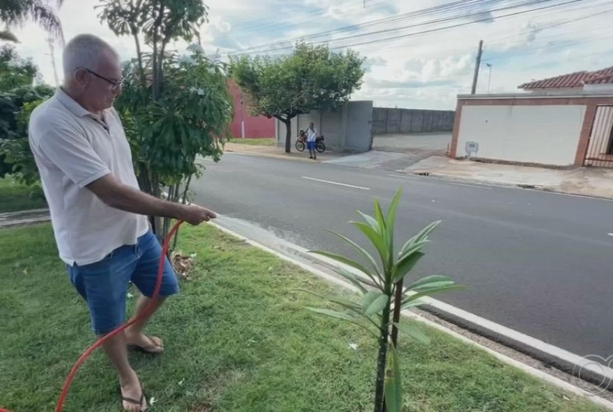 programa-abrace-o-verde3A-moradores-adotam-espacos-publicos-em-aracatuba