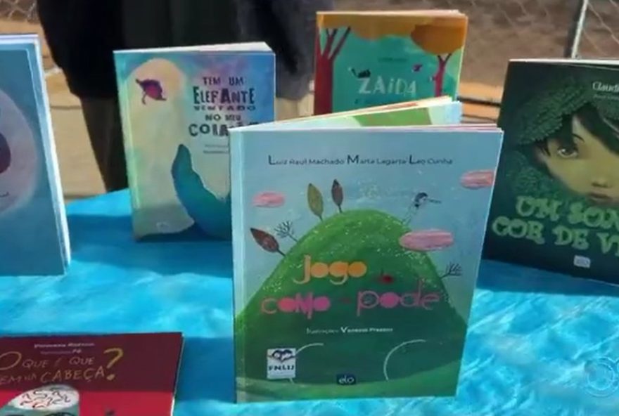 projeto-22ler-e-reler223A-incentivo-a-leitura-com-criacao-de-bibliotecas-caseiras