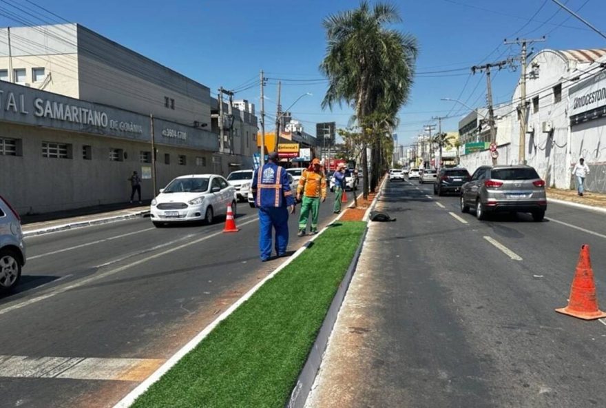 projeto-de-lei-proposto-ameaca-planos-da-prefeitura-de-goiania-com-grama-sintetica