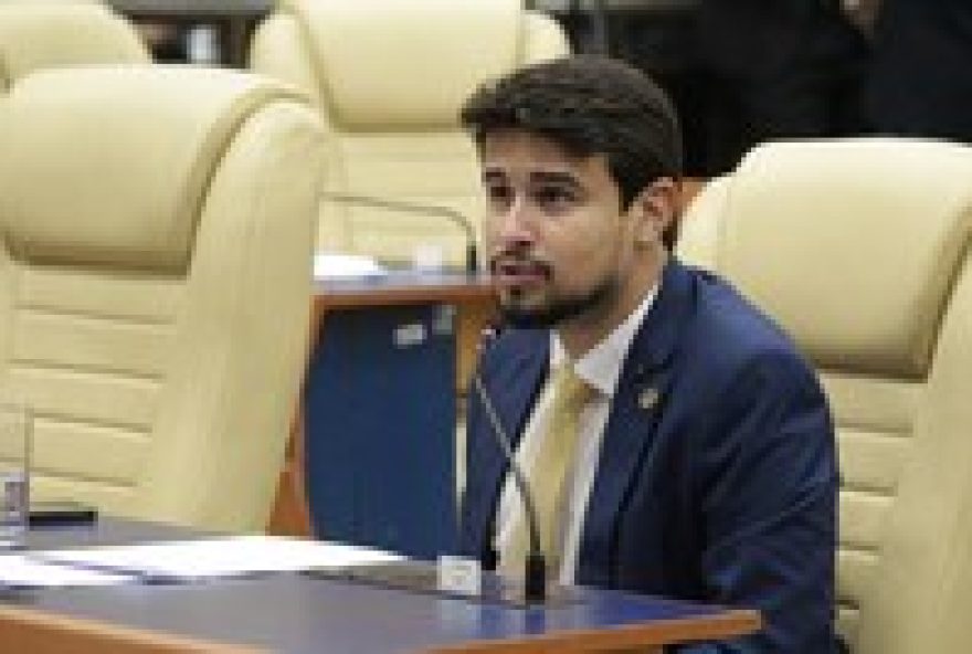 projeto-rota-dos-ipes3A-memoria-das-vitimas-de-violencia-domestica projeto-rota-dos-ipes3A-memoria-das-vitimas-de-violencia-domestica