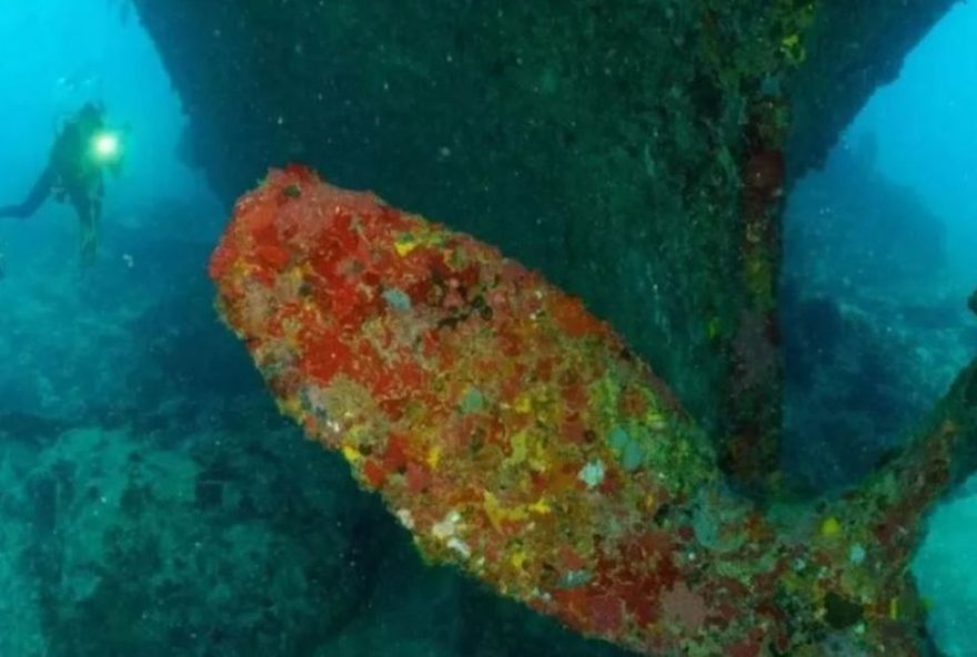 projeto-ser-corais-monitorara-e-restaurara-corais-em-parque-estadual-de-cururupu projeto-ser-corais-monitorara-e-restaurara-corais-em-parque-estadual-de-cururupu