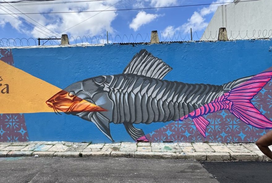 projetos-gira-e-i.g.a.p.o.-levam-arte-urbana-para-soure2C-com-oficinas-gratuitas-de-graffiti-em-janeiro projetos-gira-e-i.g.a.p.o.-levam-arte-urbana-para-soure2C-com-oficinas-gratuitas-de-graffiti-em-janeiro