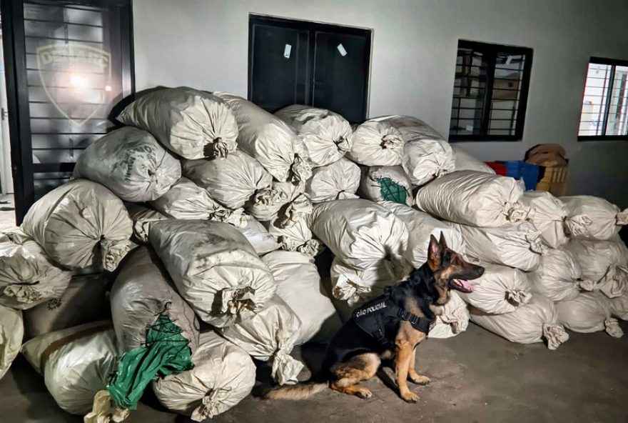 proprietario-da-tonelada-de-maconha-apreendida-em-tacaimbo-e-preso-em-caruaru3A-mais-uma-vitoria-contra-o-trafico-de-drogas