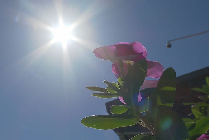 protecao-contra-o-calor-excessivo-no-df3A-medidas-necessarias-para-evitar-problemas-de-saude.-saiba-mais