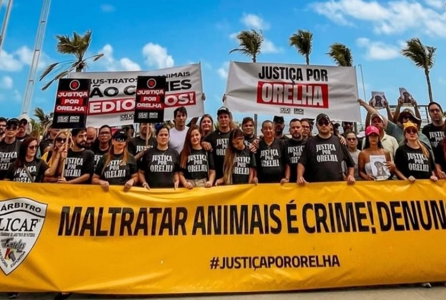 protesto-por-justica-para-cao-orelha-reune-centenas-na-beira-mar-de-fortaleza protesto-por-justica-para-cao-orelha-reune-centenas-na-beira-mar-de-fortaleza
