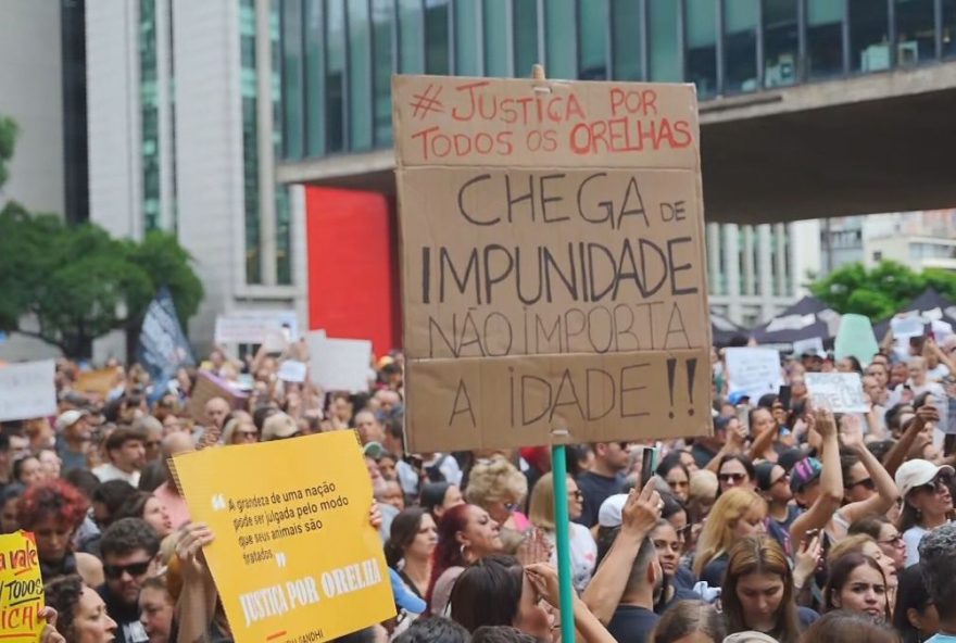 protestos-em-repudio-a-morte-do-cao-orelha-unem-amantes-dos-animais-no-brasil3A-clamor-por-justica-e-mais-protecao-aos-animais protestos-em-repudio-a-morte-do-cao-orelha-unem-amantes-dos-animais-no-brasil3A-clamor-por-justica-e-mais-protecao-aos-animais