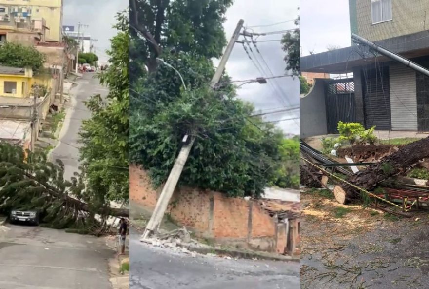 queda-de-arvore-em-belo-horizonte3A-autoridades-atuam-para-garantir-seguranca-apos-vendaval