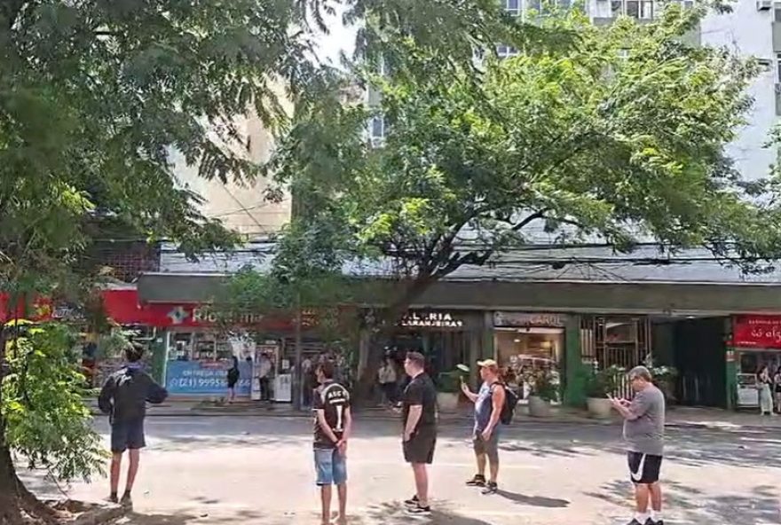 queda-de-arvore-interdita-rua-em-laranjeiras3A-impactos-e-medidas-preventivas