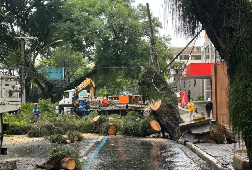 queda-de-arvores-em-sao-jose-dos-campos-gera-interdicoes-e-problemas-na-regiao-central queda-de-arvores-em-sao-jose-dos-campos-gera-interdicoes-e-problemas-na-regiao-central