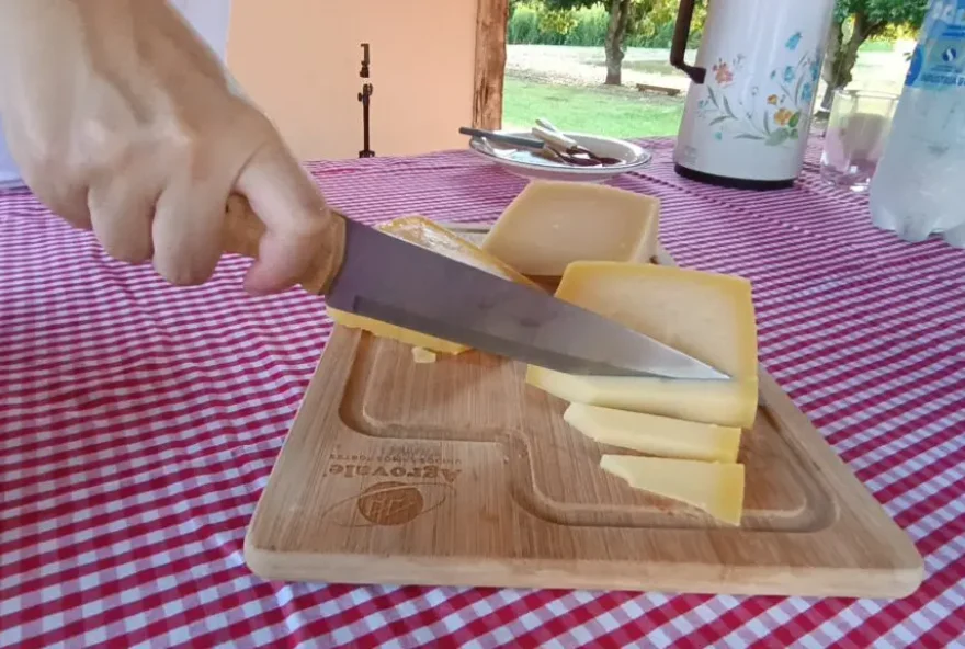 Leiteria produz seis tipos de queijo e conquistou medalha de ouro no concurso internacional promovido na cidade mineira de Araxá com a sua versão de um queijo que se assemelha ao parmesão: o queijo Paraíso (Foto: Maria Antonieta Toledo / Comset Agrodefesa)