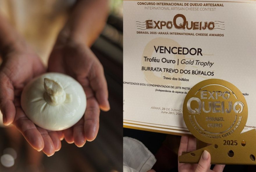 queijo-da-fazenda-trevo-dos-bufalos-da-bahia-vence-concurso-internacional