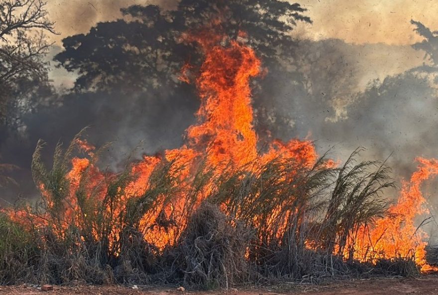 queimada-em-areas-proximas-a-escolas-de-piracicaba-leva-pais-a-buscarem-alunos