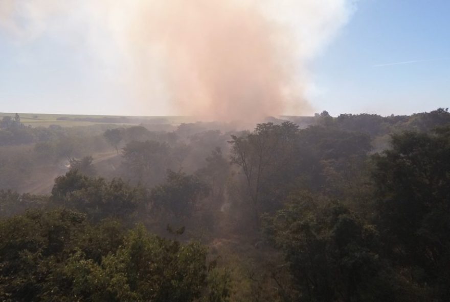 queimadas-controladas3A-prevencao-de-incendios-na-estacao-ecologica-de-jatai09sp.-medidas-essenciais-para-evitar-grandes-perdas-ambientais