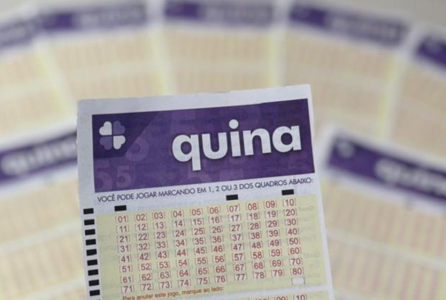 quina-6.9243A-aposta-de-morro-agudo-vence-r24-12C6-mi3B-sorteio-tambem-contempla-piacabucu-al-veja-numeros-sorteados-e-rateio quina-6.9243A-aposta-de-morro-agudo-vence-r24-12C6-mi3B-sorteio-tambem-contempla-piacabucu-al-veja-numeros-sorteados-e-rateio