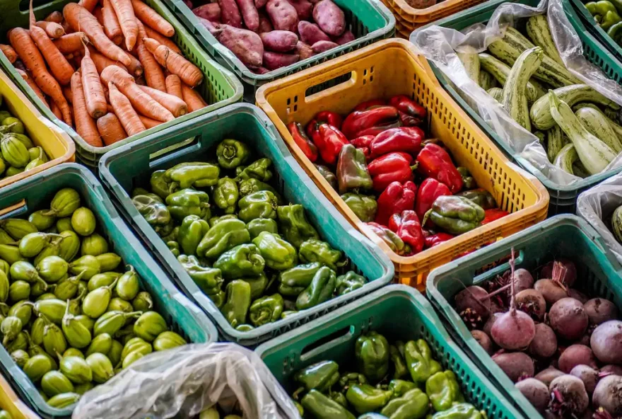 O governo federal divulgou nesta quinta-feira ,7, a lista dos alimentos que irão compor a nova cesta básica.

(Foto: Agência Brasil)