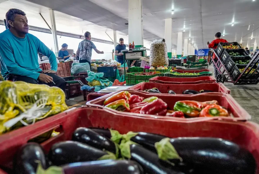 De acordo com a Conab, isso ocorreu em resposta à queda de demanda pela batata. A maior redução registrada foi observada
(Foto:Agência Brasil)